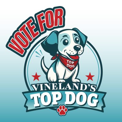 Vote